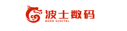 波士數(shù)碼五月初五“粽情端午”線上活動(dòng)