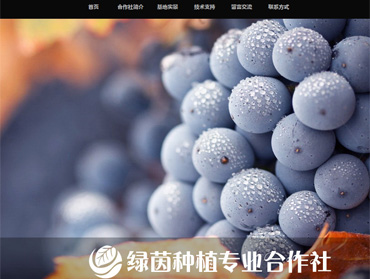 克什克騰旗綠茵種植專業(yè)合作社